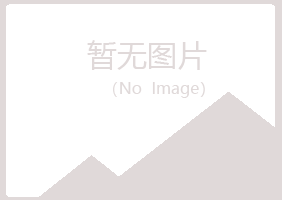 雁山区残缺制造有限公司